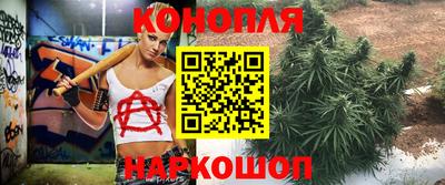 ПСИЛОЦИБИНОВЫЕ ГРИБЫ Камышлов