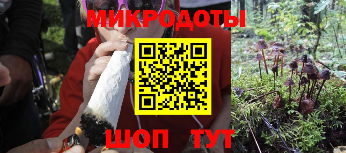 Псилоцибиновые грибы прущие грибы  закладки  Псилоцибиновые грибы GOLDEN TEACHER  Майкоп  Вход с VPN 